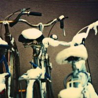 Южная зима - 16 :: Алексей Кузнецов