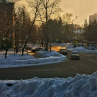 **** :: Алексей Архипов