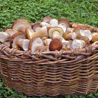 Было время... :: Валерий Судачок