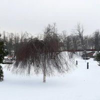 Кронштадт. Остров Фортов :: Наталья Герасимова