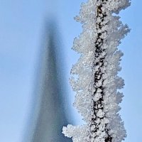 Зима в Калининграде :: Михаил Свиденцов