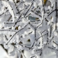 Снежная графика :: Валерий Иванович