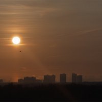 Рассвет :: Michel 