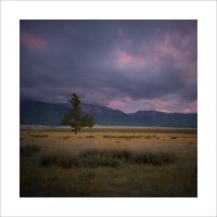 * :: Александр Иванов