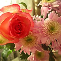 Ждем весну :: Елена Семигина