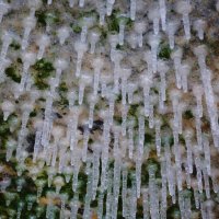 Ледяные сталактиты :: Рита Симонова