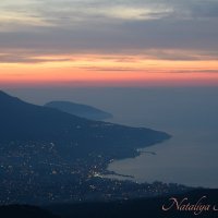 Природа Крыма :: Amazing Cosmea