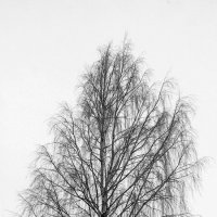 *** :: Сергей Григорьев