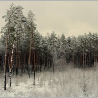 *** :: Aleksandr Gal *** :: Aleksandr Gal