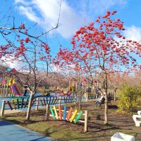 Детская площадка :: Надежда Детская площадка :: Надежда