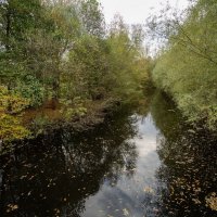 Течёт речушка... :: Николай Гирш