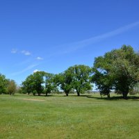 Весна в степи. :: Виктор 