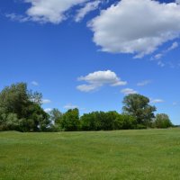 Донские зарисовки. :: Виктор 