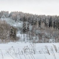 Река Ухта и ее высокий берег-гряда. Бывший спортивный лыжный спуск для слалома :: Николай Зиновьев Река Ухта и ее высокий берег-гряда. Бывший спортивный лыжный спуск для слалома :: Николай Зиновьев