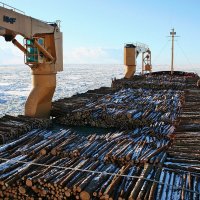 В ледяном плену :: В.И 