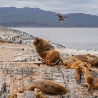 Возмущение... :: Владимир Жданов