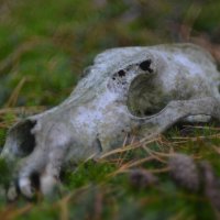 Кто то уже в прошлом... :: Prizrak 777