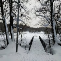 ЧБ графика зимы :: Андрей Лукьянов