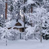 Зима :: Владимир Колесников Зима :: Владимир Колесников