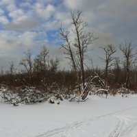 Юнтолово :: skijumper Иванов