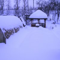 Засыпало весь сад :: Людмила Смородинская