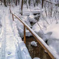 Вдоль ручья :: Сергей Цветков