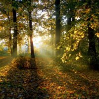 Осеннее утро....... :: Юрий Цыплятников Осеннее утро....... :: Юрий Цыплятников