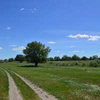 Мои дороги. :: Виктор 