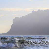 Одна маленькая, но гордая птичка.. :: Геннадий Валеев Одна маленькая, но гордая птичка.. :: Геннадий Валеев