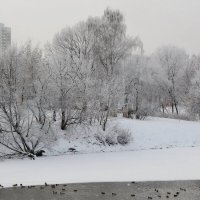 ... :: Анастасия Смирнова