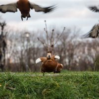 Pink Floyd - Learning to fly :: Игорь Шевченко