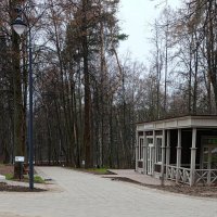 Парк. :: tatiana 