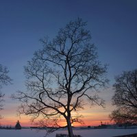 *** :: Сергей Григорьев