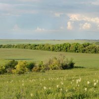 Степные просторы... :: Надежда Куркина Степные просторы... :: Надежда Куркина