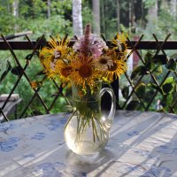 Август :: AleksSPb Лесниченко Август :: AleksSPb Лесниченко