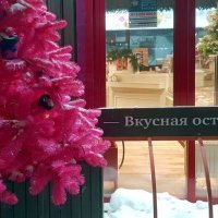 Вкусная остановка :: Galina Solovova