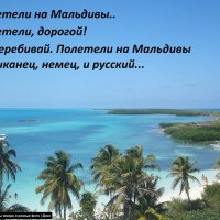 На острове Контой :: svk *