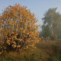 Тихая красота осени :: Вячеслав Владимирович