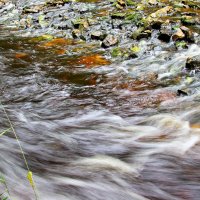 река Рагуша :: Laryan1 