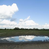 Из отражённого :: svk *