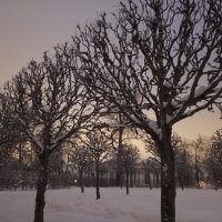 Зима :: Сапсан 