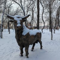 Бычок... :: Андрей Хлопонин