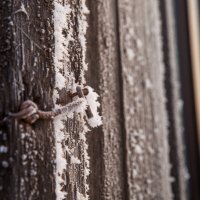 холод :: Denis Doroshenko