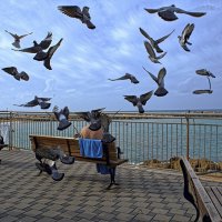 Израиль * Хайфа* Бат Галим. Угощай и я станцую  27.1.2026г :: ujgcvbif 