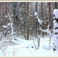 Сон зимнего леса :: Alisia La DEMA