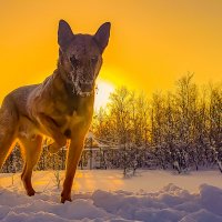 На прогулке :: Андрей C