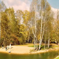 ОСЕННИЙ ПЕЙЗАЖ С БЕРЕЗАМИ :: Валентина 