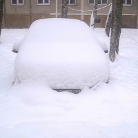 Подснежник :: Елена Семигина