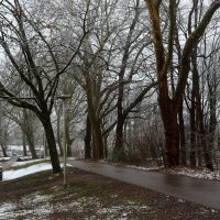 А за окном -- то дождь, то снег :: Юрий. Шмаков