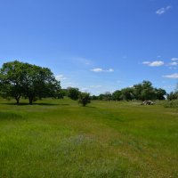 :::**** :: Виктор :::**** :: Виктор